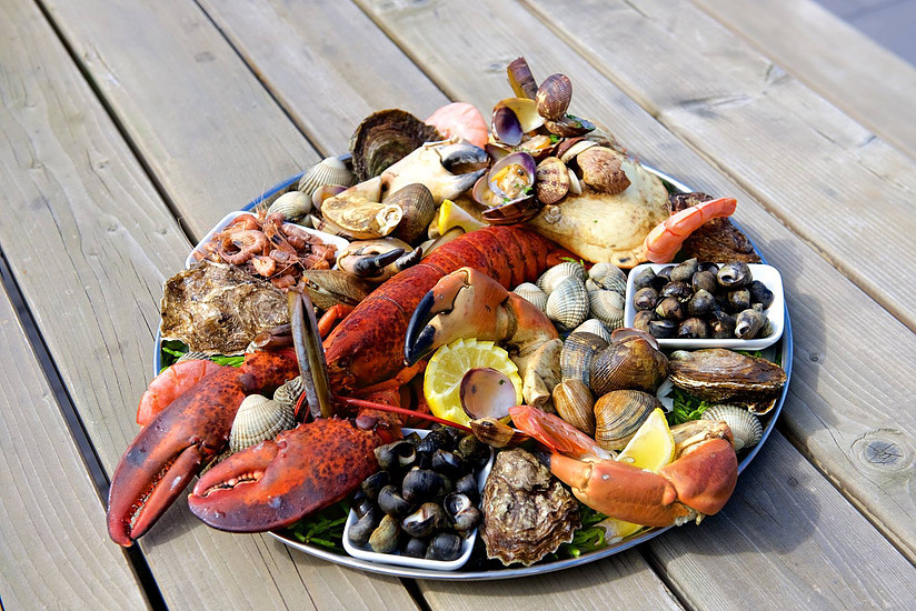 Eco oester experience fruits de mer jpg