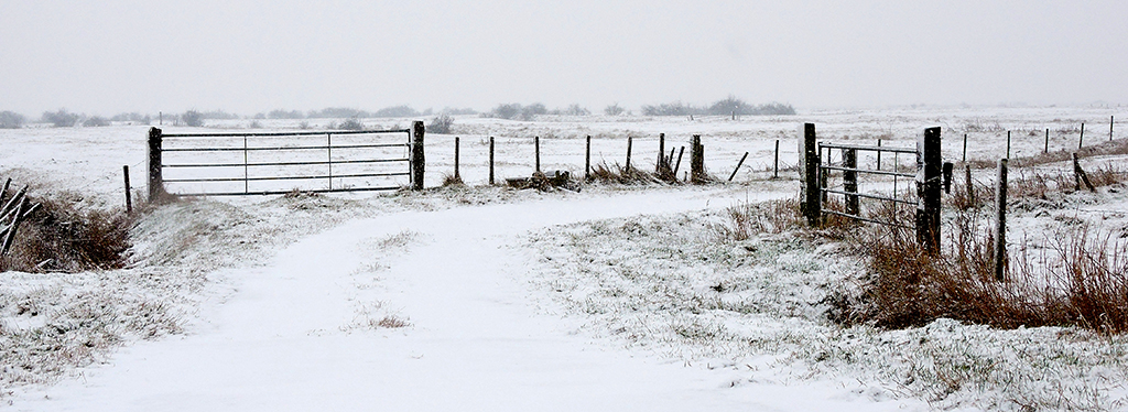 Kerstvakantie in Zeeland bij Blue Green Holiday natuur op Zuid Beveland in winter