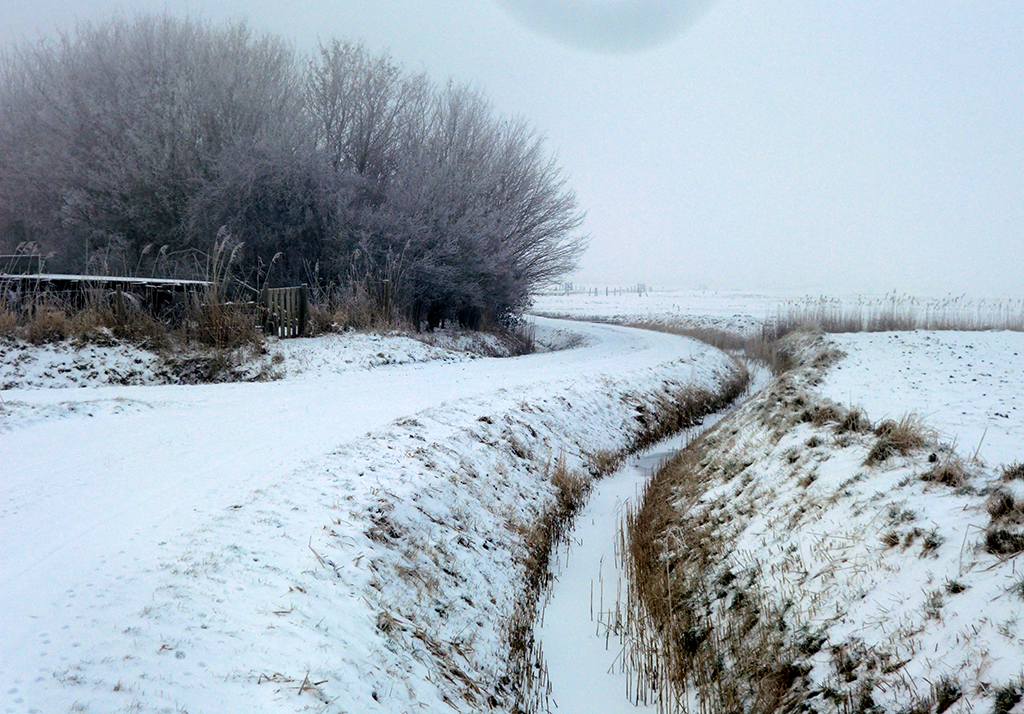 Kerstvakantie in Zeeland bij Blue Green Holiday wandelen tijdens winter in sneeuw op Zuid Beveland
