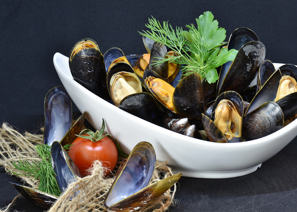 Mosselrock Festival Yerseke-Muscheln