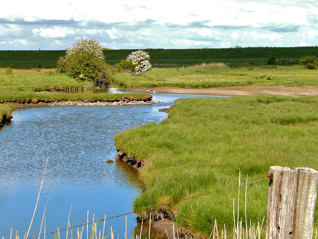 Pasen in Zeeland wandelen Yerseke