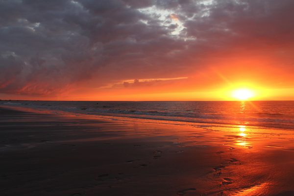 Vakantie-in-Zeeland-met-hond-avondwandeling-met-hond-aan-strand
