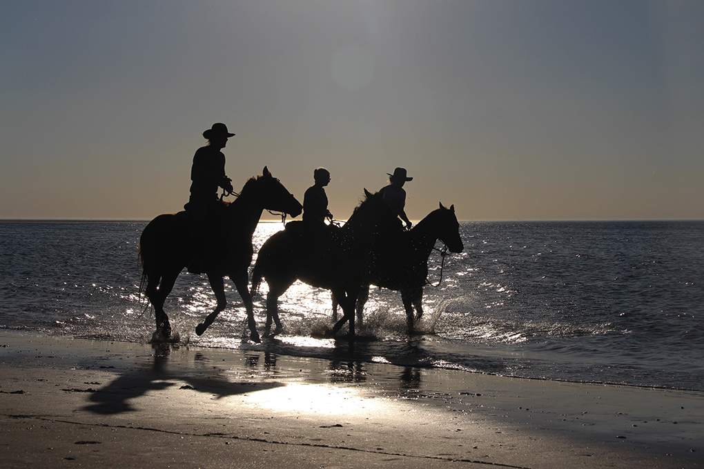 Wolphaartsdijk beleef hier uw vakantie in een vakantiehuis van Blue Green Holiday paarden op het strand