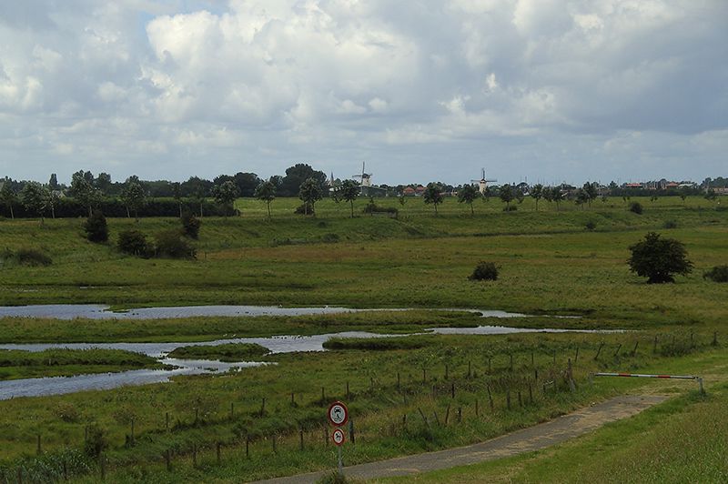 blue green holiday wemeldinge natuur