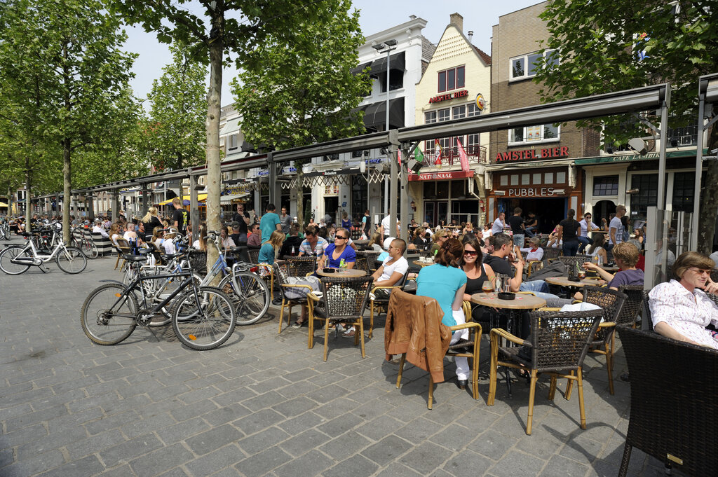 terras goes