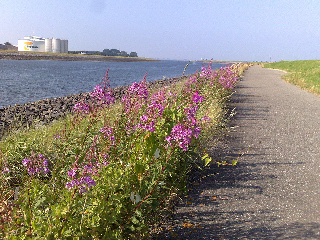 voorjaarsvakantie Zeeland vakantiehuisjes natuur
