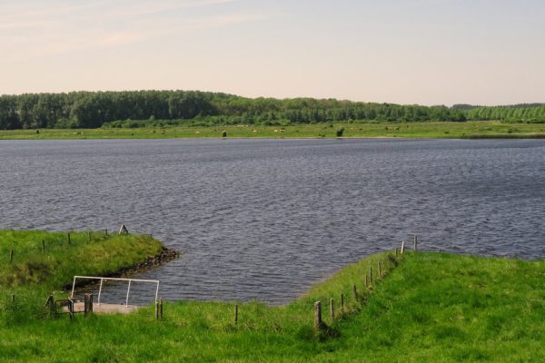 De Braakman